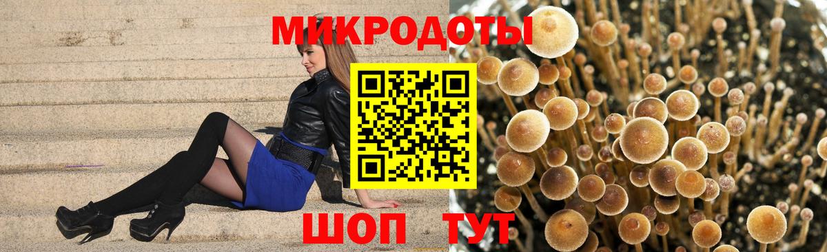 Чернушка  Галлюциногенные грибы Magic Shrooms  Вход с VPN 